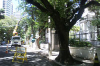 SERVIOS DE ALTO RISCO