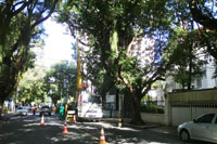 SERVIOS DE ALTO RISCO
