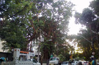 SERVIOS DE ALTO RISCO